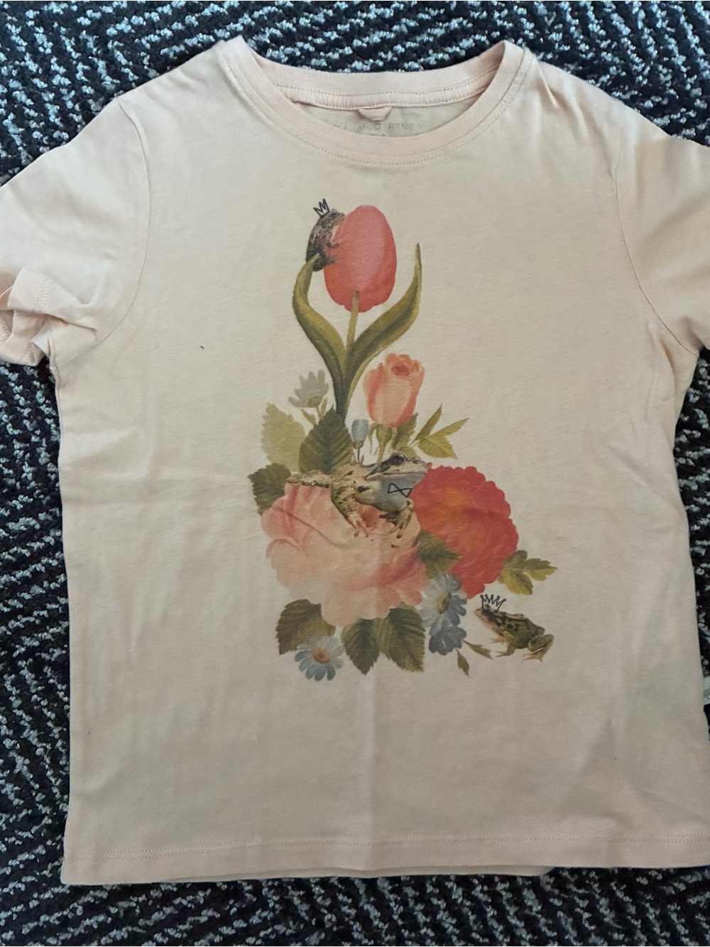 Stella McCartney Girls Pale Pink Tee with Floral and Frog Print